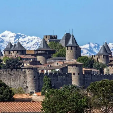 Дом отдыха Maison Spacieuse Et Calme Pres De La Cite Alairac